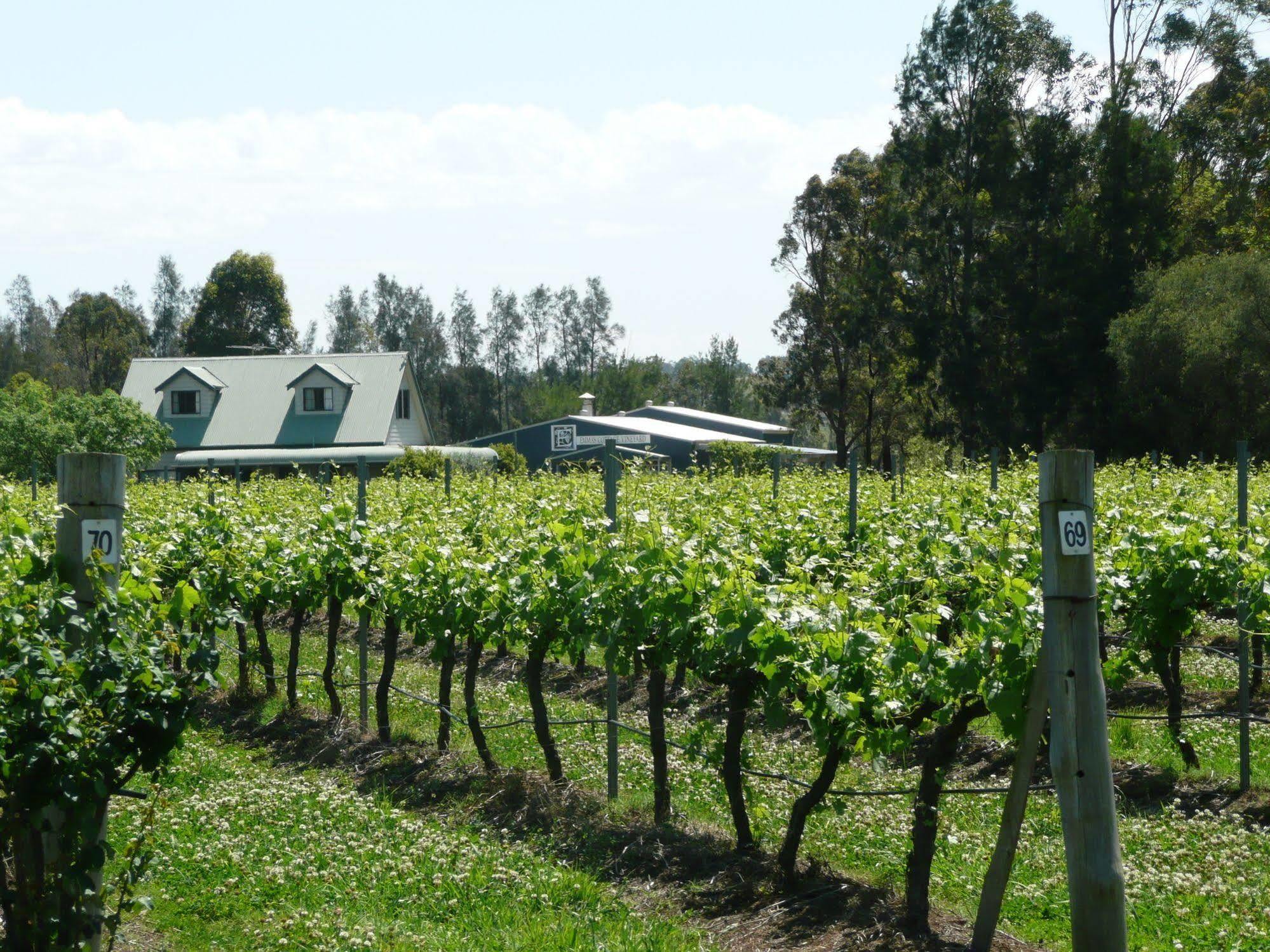 Emma'S Cottage Vineyard Lovedale Luaran gambar