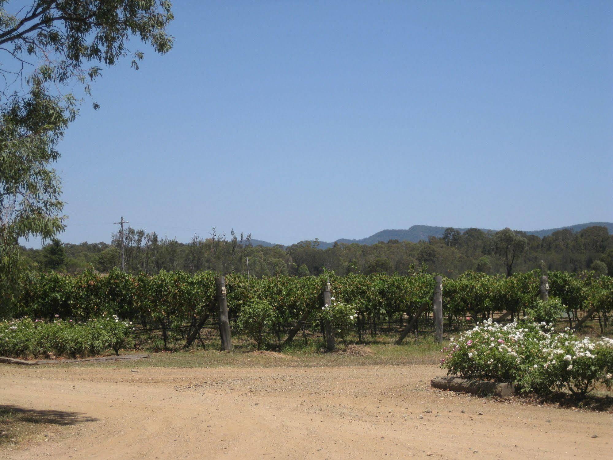 Emma'S Cottage Vineyard Lovedale Luaran gambar