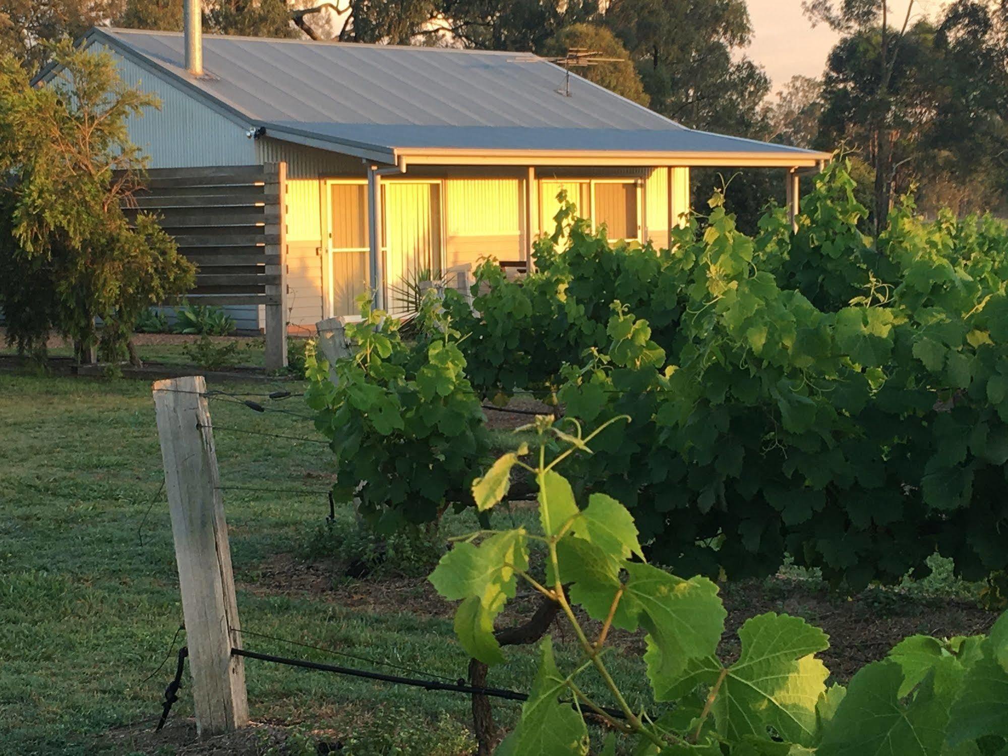 Emma'S Cottage Vineyard Lovedale Luaran gambar
