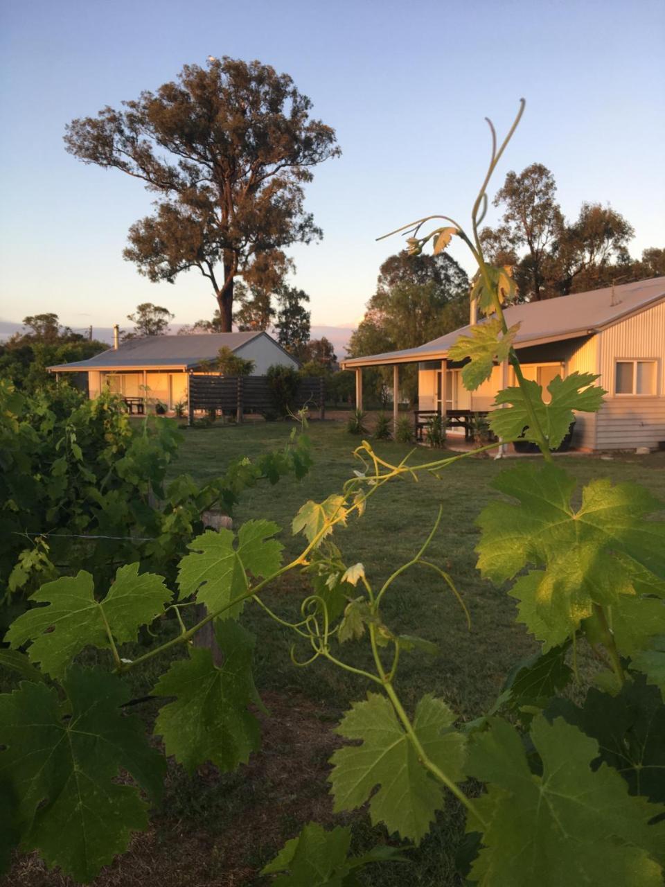 Emma'S Cottage Vineyard Lovedale Luaran gambar